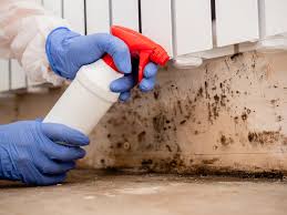 Best Mold Prevention Services  in Half Moon Bay, CA